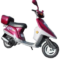 gas scooter, cheap gas scooters, fast scooters, www.gas-scooters-on-the-web.com, online gas scooters, gas powered scooter, pocket bike, snow scooter  qiqi.gif (132x133 -- 18025 bytes)